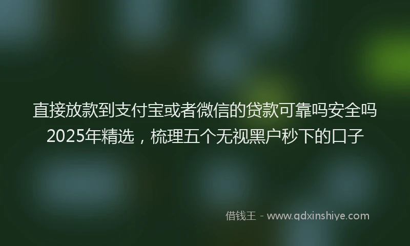 直接放款到支付宝或者微信的贷款可靠吗安全吗2025年精选，梳理五个无视黑户秒下的口子