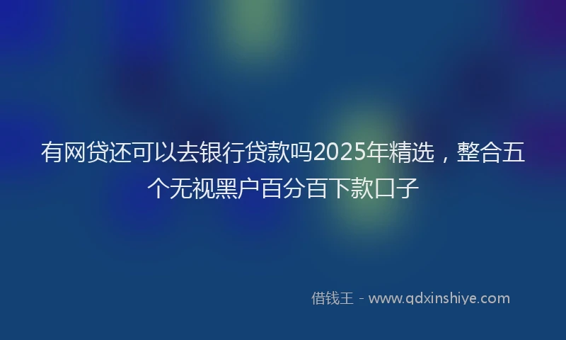 有网贷还可以去银行贷款吗2025年精选，整合五个无视黑户百分百下款口子
