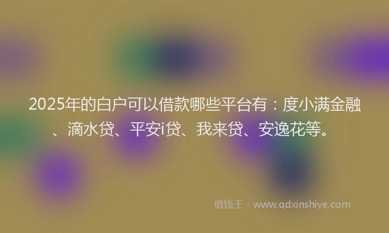 2025年的白户可以借款哪些平台有：度小满金融、滴水贷、平安i贷、我来贷、安逸花等。