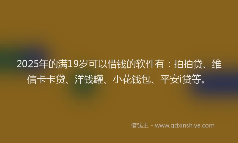 2025年的满19岁可以借钱的软件有：拍拍贷、维信卡卡贷、洋钱罐、小花钱包、平安i贷等。
