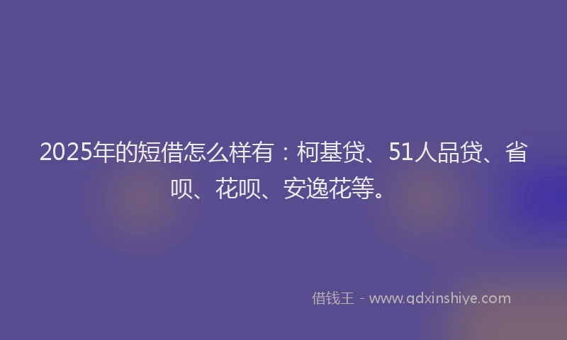 2025年的短借怎么样有：柯基贷、51人品贷、省呗、花呗、安逸花等。