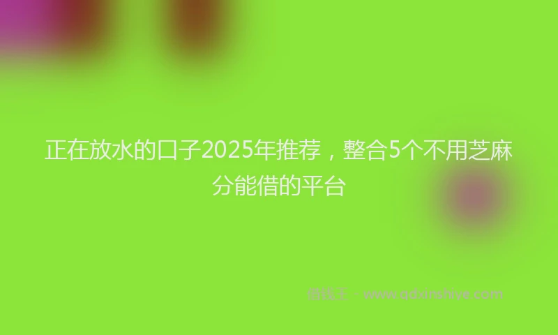 正在放水的口子2025年推荐，整合5个不用芝麻分能借的平台