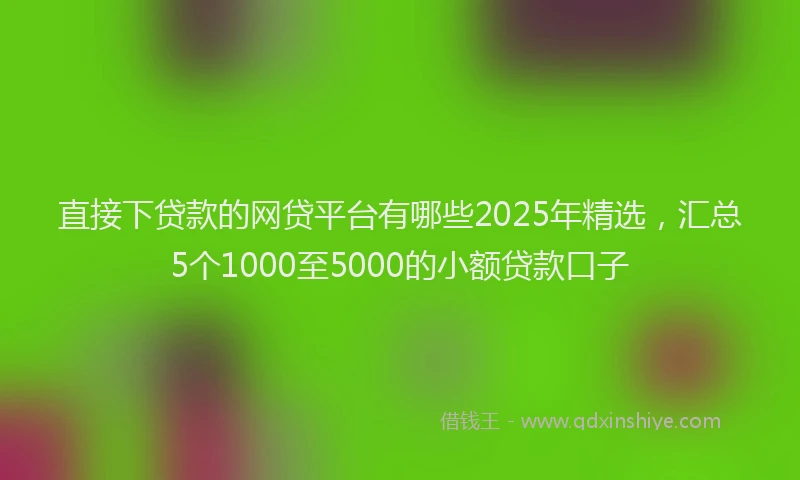 直接下贷款的网贷平台有哪些2025年精选，汇总5个1000至5000的小额贷款口子