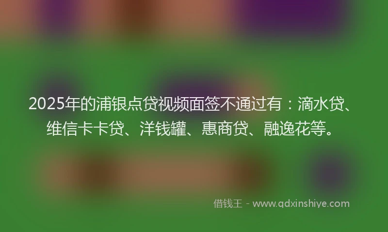 2025年的浦银点贷视频面签不通过有：滴水贷、维信卡卡贷、洋钱罐、惠商贷、融逸花等。
