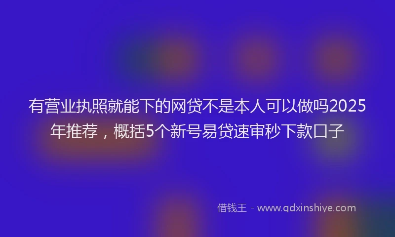有营业执照就能下的网贷不是本人可以做吗2025年推荐，概括5个新号易贷速审秒下款口子