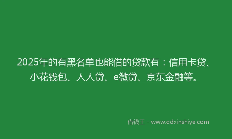 2025年的有黑名单也能借的贷款有：信用卡贷、小花钱包、人人贷、e微贷、京东金融等。