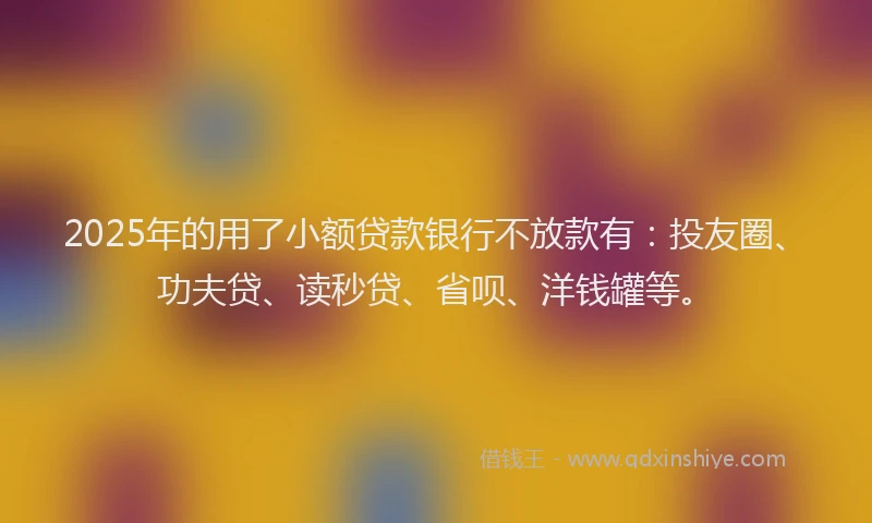 2025年的用了小额贷款银行不放款有：投友圈、功夫贷、读秒贷、省呗、洋钱罐等。