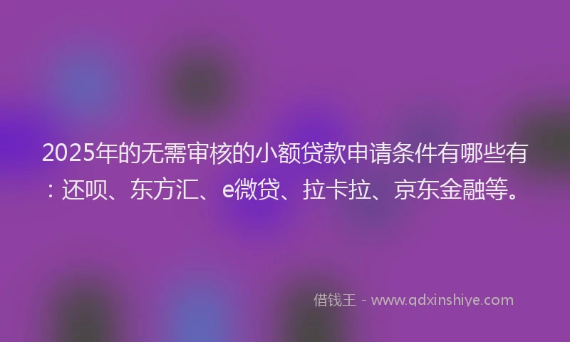 2025年的无需审核的小额贷款申请条件有哪些有：还呗、东方汇、e微贷、拉卡拉、京东金融等。