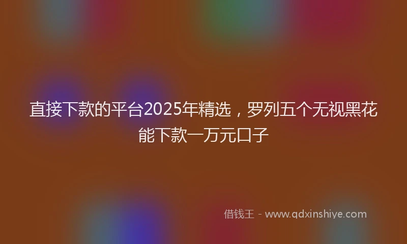直接下款的平台2025年精选，罗列五个无视黑花能下款一万元口子