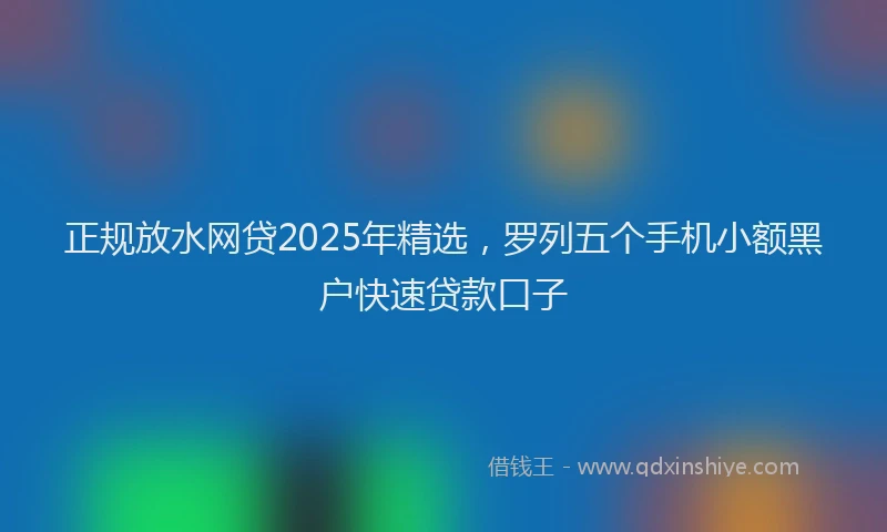 正规放水网贷2025年精选，罗列五个手机小额黑户快速贷款口子
