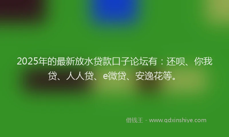 2025年的最新放水贷款口子论坛有：还呗、你我贷、人人贷、e微贷、安逸花等。