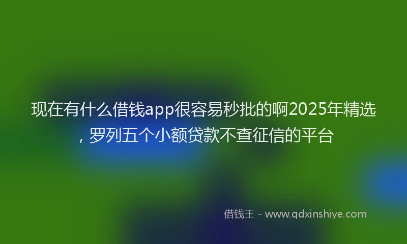 现在有什么借钱app很容易秒批的啊2025年精选，罗列五个小额贷款不查征信的平台