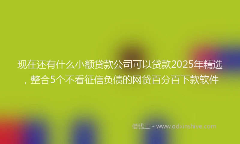 现在还有什么小额贷款公司可以贷款2025年精选，整合5个不看征信负债的网贷百分百下款软件
