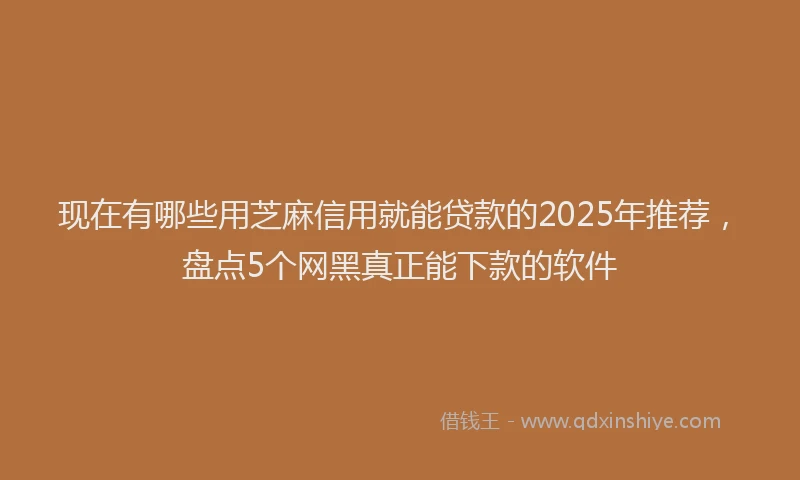 现在有哪些用芝麻信用就能贷款的2025年推荐，盘点5个网黑真正能下款的软件