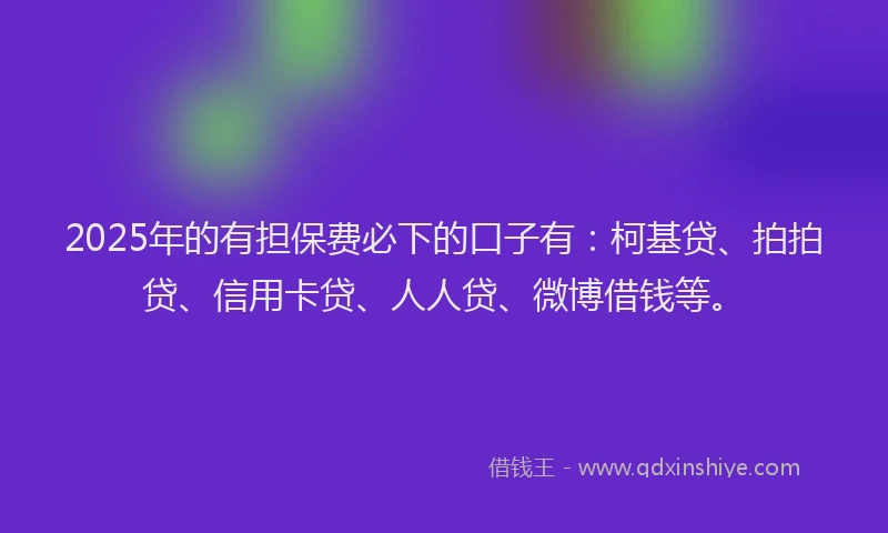 2025年的有担保费必下的口子有：柯基贷、拍拍贷、信用卡贷、人人贷、微博借钱等。
