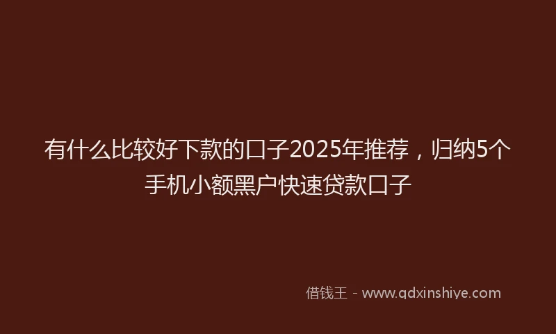 有什么比较好下款的口子2025年推荐，归纳5个手机小额黑户快速贷款口子