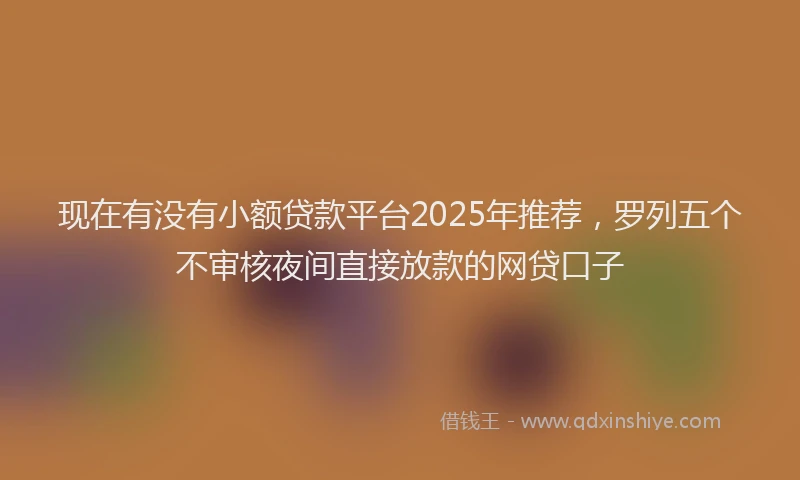 现在有没有小额贷款平台2025年推荐，罗列五个不审核夜间直接放款的网贷口子