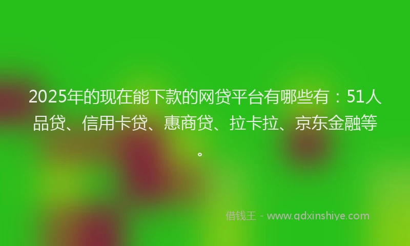 2025年的现在能下款的网贷平台有哪些有：51人品贷、信用卡贷、惠商贷、拉卡拉、京东金融等。