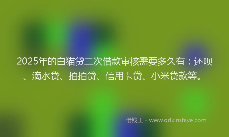 2025年的白猫贷二次借款审核需要多久有：还呗、滴水贷、拍拍贷、信用卡贷、小米贷款等。
