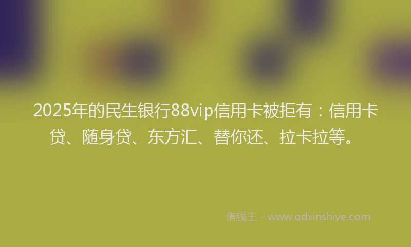 2025年的民生银行88vip信用卡被拒有：信用卡贷、随身贷、东方汇、替你还、拉卡拉等。