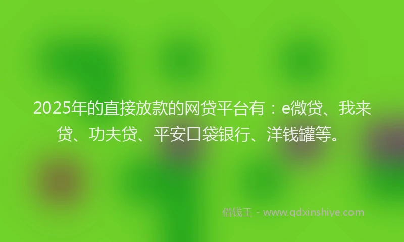 2025年的直接放款的网贷平台有：e微贷、我来贷、功夫贷、平安口袋银行、洋钱罐等。