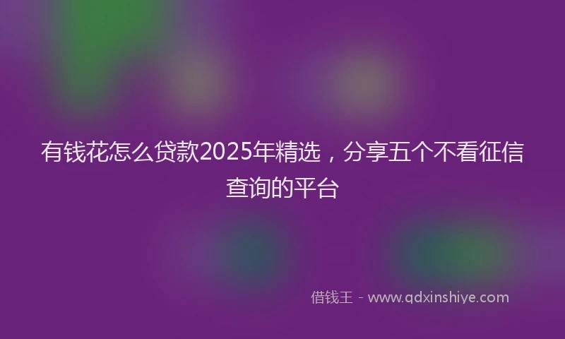 有钱花怎么贷款2025年精选，分享五个不看征信查询的平台