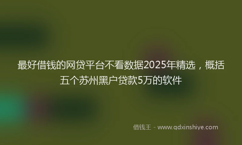 最好借钱的网贷平台不看数据2025年精选，概括五个苏州黑户贷款5万的软件
