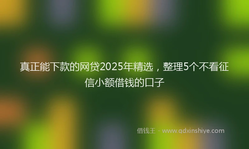 真正能下款的网贷2025年精选，整理5个不看征信小额借钱的口子