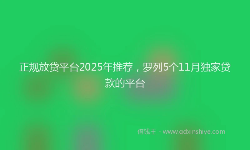 正规放贷平台2025年推荐，罗列5个11月独家贷款的平台