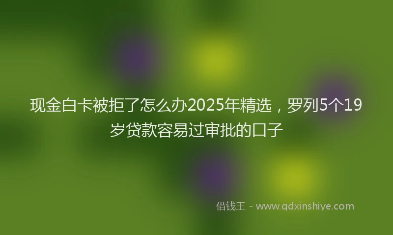 现金白卡被拒了怎么办2025年精选，罗列5个19岁贷款容易过审批的口子