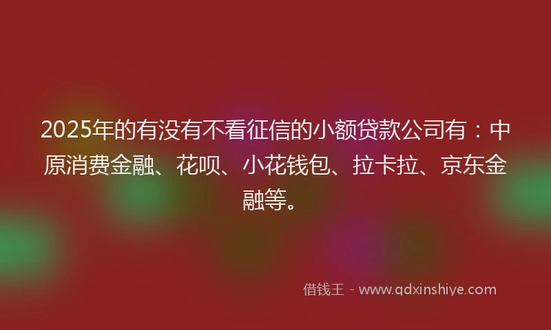 2025年的有没有不看征信的小额贷款公司有：中原消费金融、花呗、小花钱包、拉卡拉、京东金融等。