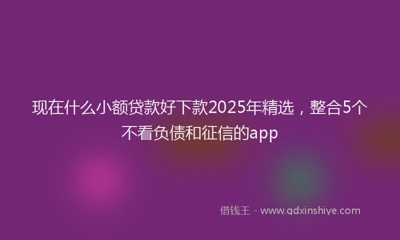 现在什么小额贷款好下款2025年精选，整合5个不看负债和征信的app