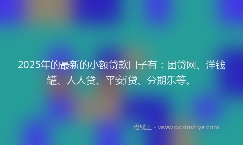 2025年的最新的小额贷款口子有：团贷网、洋钱罐、人人贷、平安i贷、分期乐等。