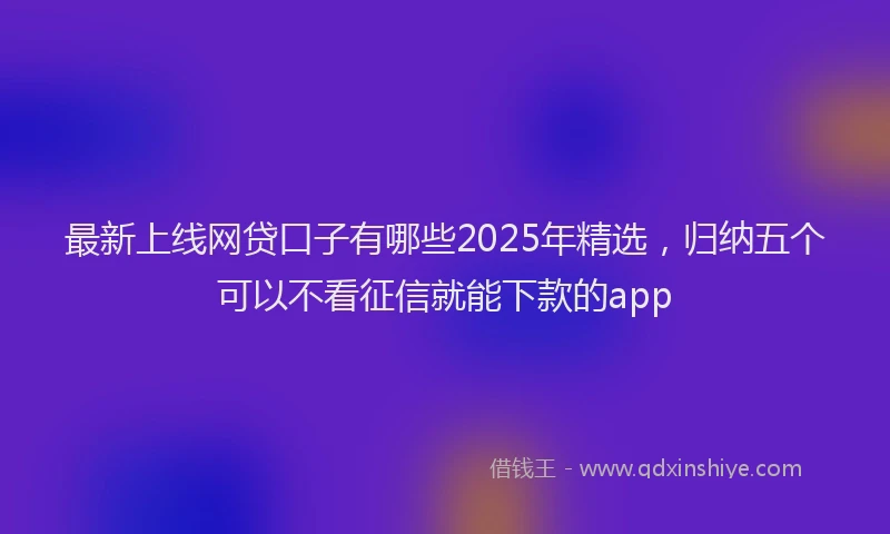 最新上线网贷口子有哪些2025年精选，归纳五个可以不看征信就能下款的app