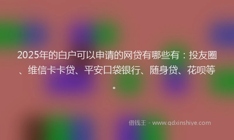 2025年的白户可以申请的网贷有哪些有：投友圈、维信卡卡贷、平安口袋银行、随身贷、花呗等。