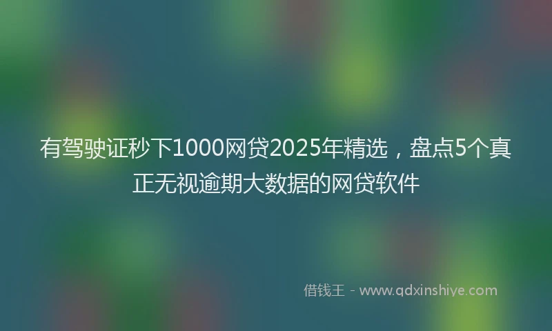 有驾驶证秒下1000网贷2025年精选，盘点5个真正无视逾期大数据的网贷软件
