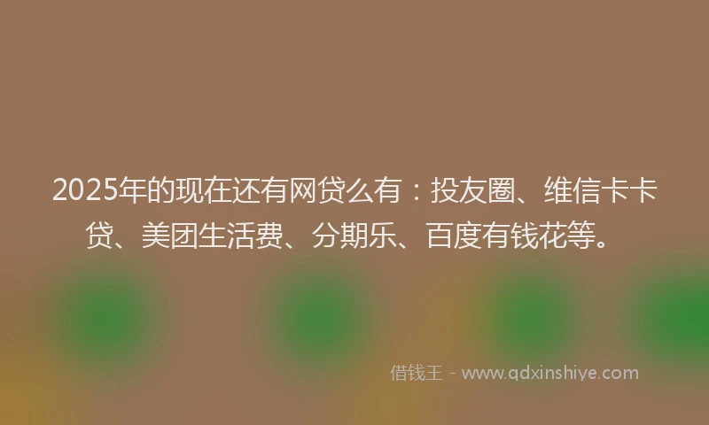 2025年的现在还有网贷么有：投友圈、维信卡卡贷、美团生活费、分期乐、百度有钱花等。