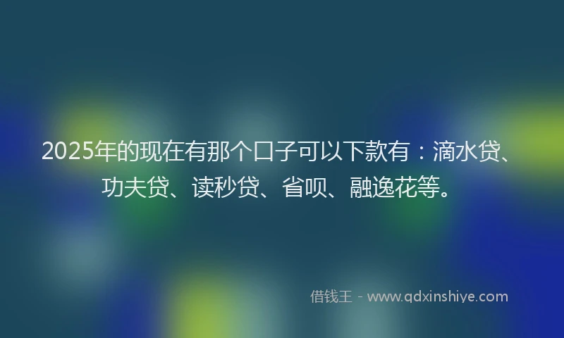 2025年的现在有那个口子可以下款有：滴水贷、功夫贷、读秒贷、省呗、融逸花等。