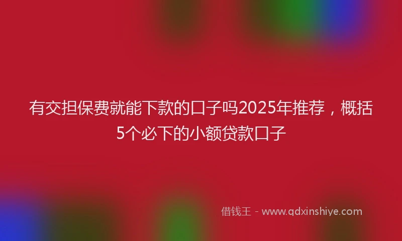 有交担保费就能下款的口子吗2025年推荐，概括5个必下的小额贷款口子