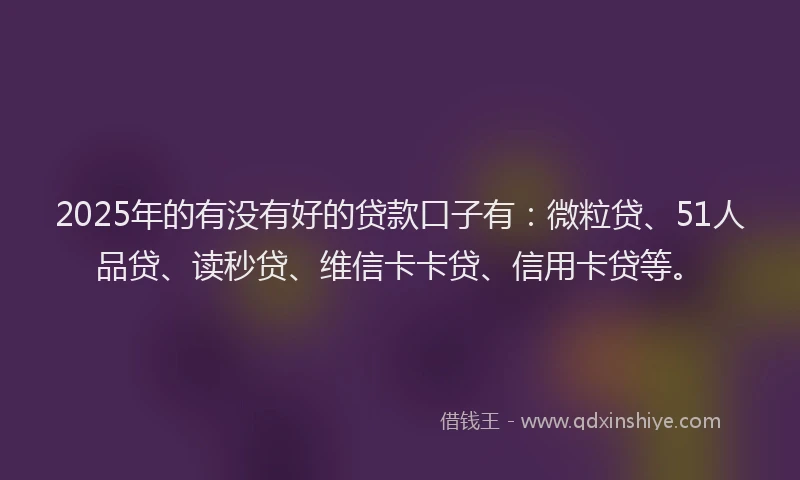2025年的有没有好的贷款口子有：微粒贷、51人品贷、读秒贷、维信卡卡贷、信用卡贷等。