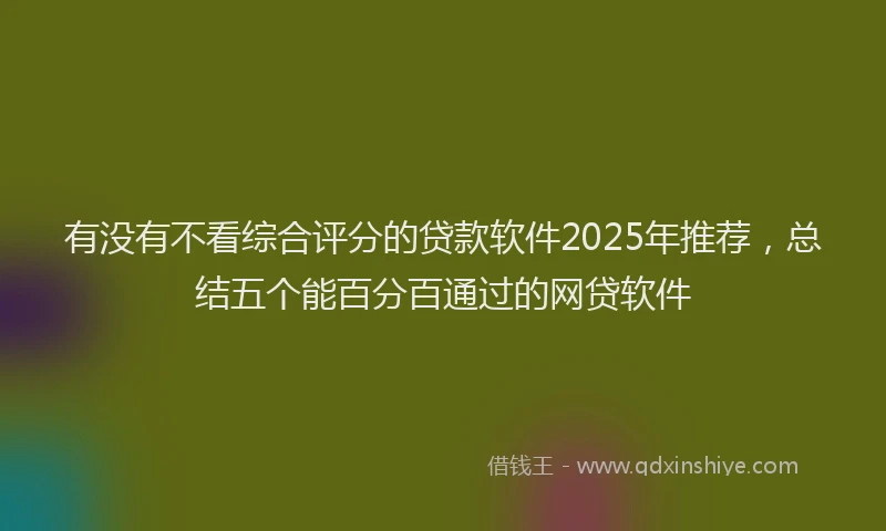 有没有不看综合评分的贷款软件2025年推荐，总结五个能百分百通过的网贷软件