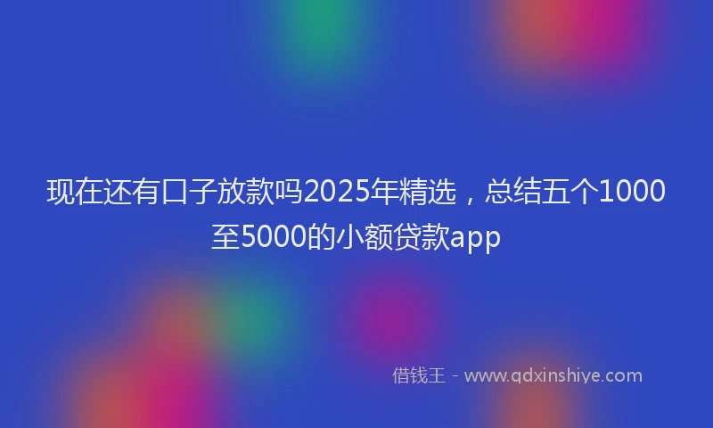 现在还有口子放款吗2025年精选，总结五个1000至5000的小额贷款app