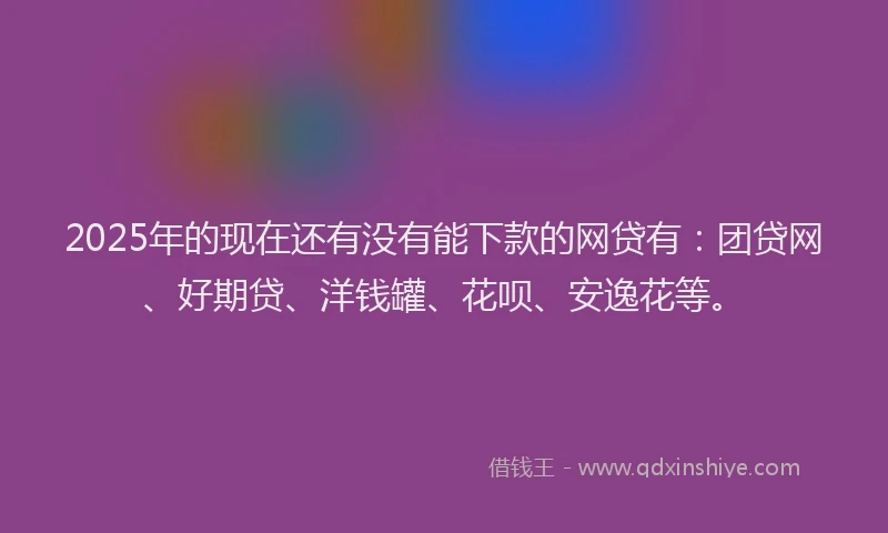 2025年的现在还有没有能下款的网贷有：团贷网、好期贷、洋钱罐、花呗、安逸花等。