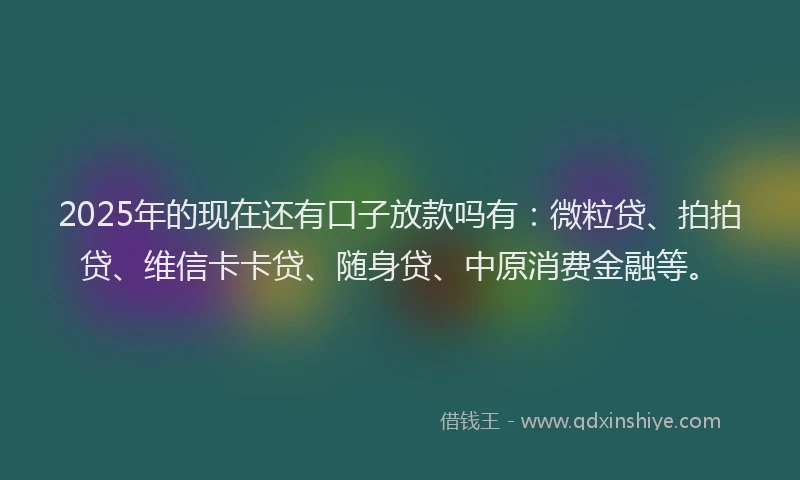2025年的现在还有口子放款吗有：微粒贷、拍拍贷、维信卡卡贷、随身贷、中原消费金融等。