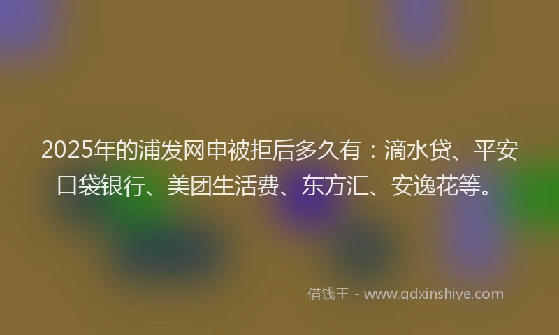 2025年的浦发网申被拒后多久有：滴水贷、平安口袋银行、美团生活费、东方汇、安逸花等。