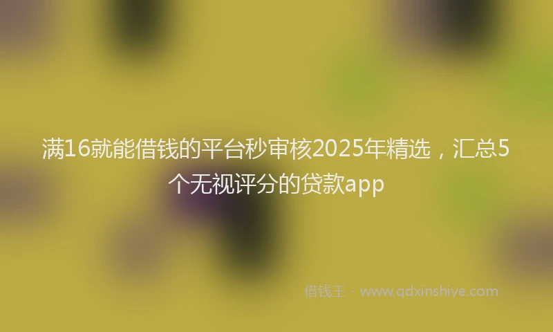 满16就能借钱的平台秒审核2025年精选，汇总5个无视评分的贷款app