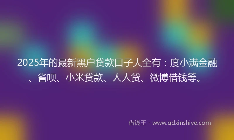 2025年的最新黑户贷款口子大全有：度小满金融、省呗、小米贷款、人人贷、微博借钱等。