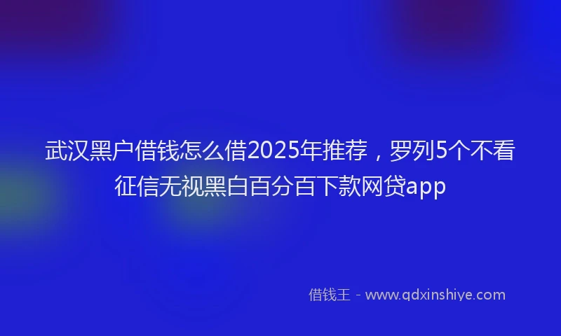 武汉黑户借钱怎么借2025年推荐，罗列5个不看征信无视黑白百分百下款网贷app