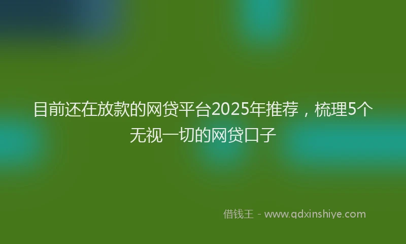 目前还在放款的网贷平台2025年推荐，梳理5个无视一切的网贷口子