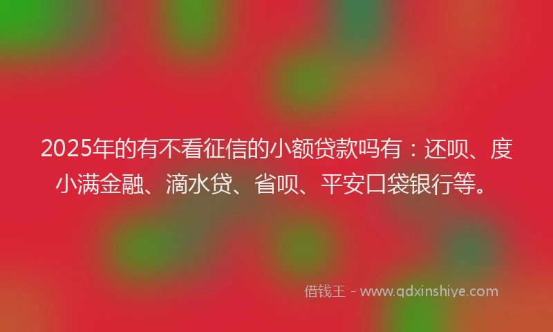 2025年的有不看征信的小额贷款吗有：还呗、度小满金融、滴水贷、省呗、平安口袋银行等。